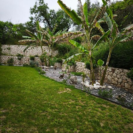 Apollon Hotel Tolón Dış mekan fotoğraf